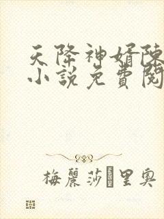 天降神婿陈黄皮小说免费阅读