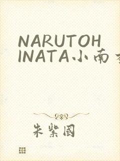 NARUTOHINATA小南本子