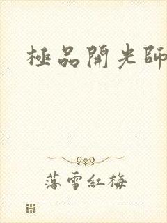 极品开光师