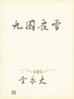 九国夜雪
