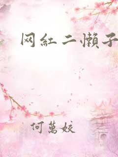 网红二懒子车祸