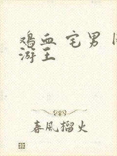 鸡血 宅男 网游王