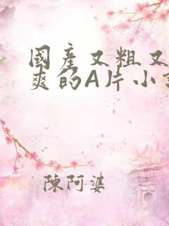 国产又粗又黄又爽的A片小说