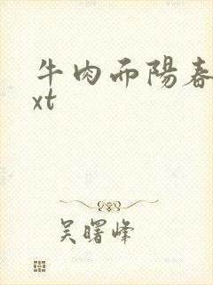 牛肉面阳春面txt