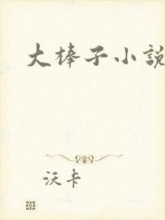 大棒子小说