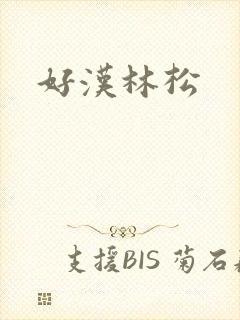 好汉林松