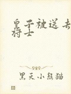 皇子被送去犒劳将士