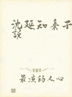 沈延知秦子卿小说