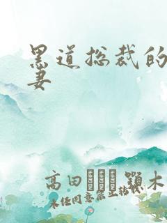 黑道总裁的娇蛮妻