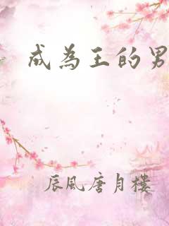 成为王的男人