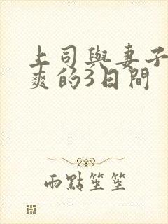 上司与妻子干到爽的3日间