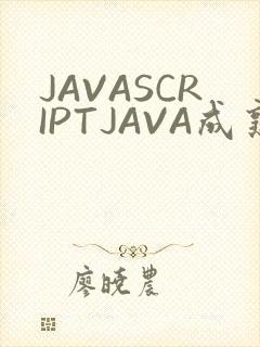 JAVASCRIPTJAVA成熟亲子