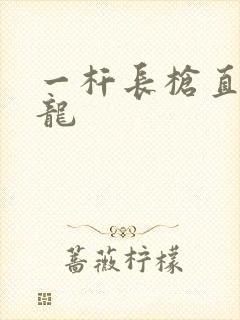 一杆长枪直捣黄龙