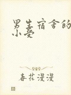 男生宿舍的公共小受