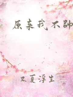 原来我不帅小说