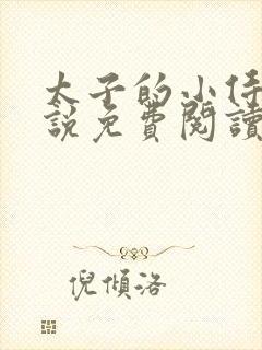 太子的小侍妾小说免费阅读全文