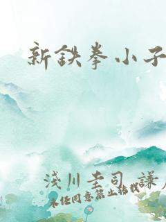 新铁拳小子
