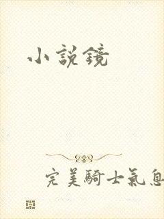 小说镜