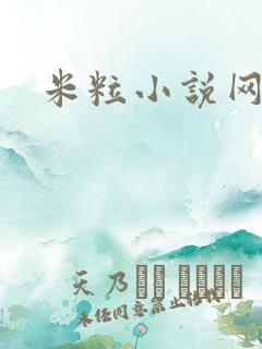 米粒小说网