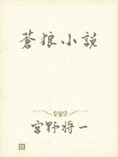 苍狼小说
