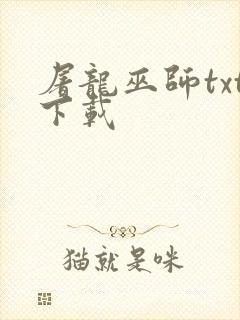 屠龙巫师txt下载