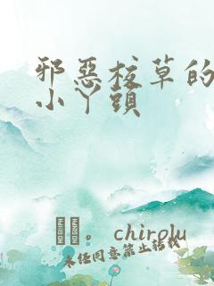 邪恶校草的拽拽小丫头