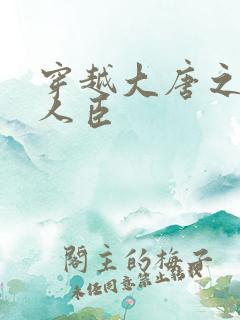 穿越大唐之位极人臣