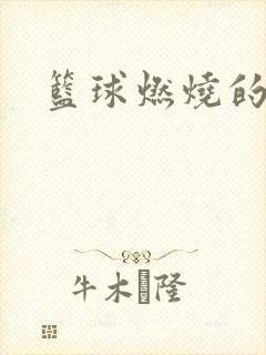 篮球燃烧的岁月