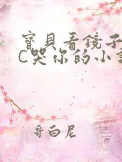 宝贝看镜子怎么C哭你的小说