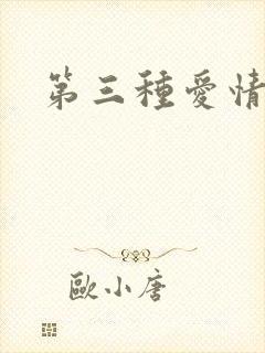第三种爱情续集