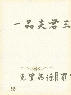 一品夫君三流妻