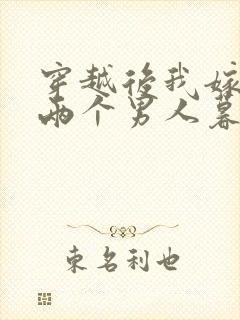 穿越后我嫁给了两个男人暮色酒歌