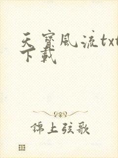 天宝风流txt下载