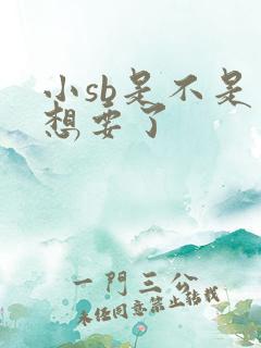 小sb是不是又想要了