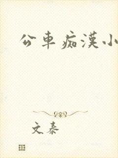 公车痴汉小说
