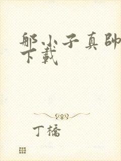 那小子真帅小说下载