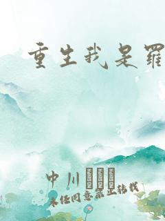 重生我是罗成