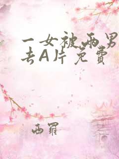 一女被两男桶进去A片免费