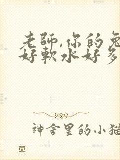 老师,你的兔子好软水好多