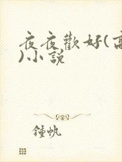 夜夜欢好(高h)小说