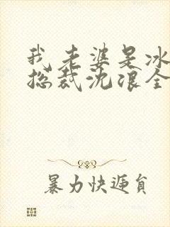 我老婆是冰山女总裁沈浪全集