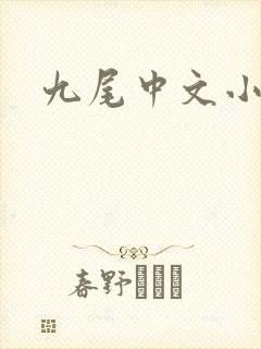 九尾中文小说网
