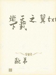 炽天之翼txt下载