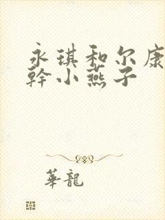 永琪和尔康一起干小燕子