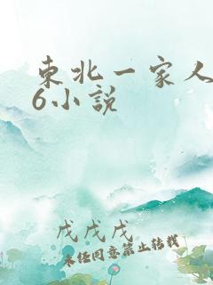 东北一家人1一6小说