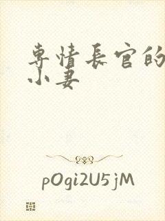 专情长官的天价小妻