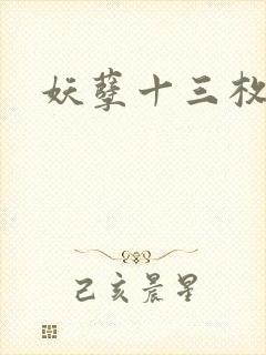 妖孽十三枚