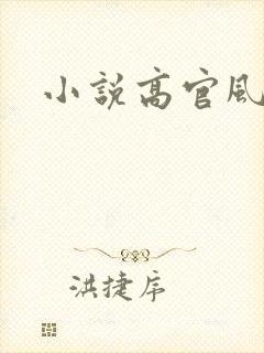小说高官风流