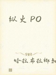 纵火 PO