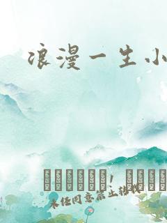 浪漫一生小说网